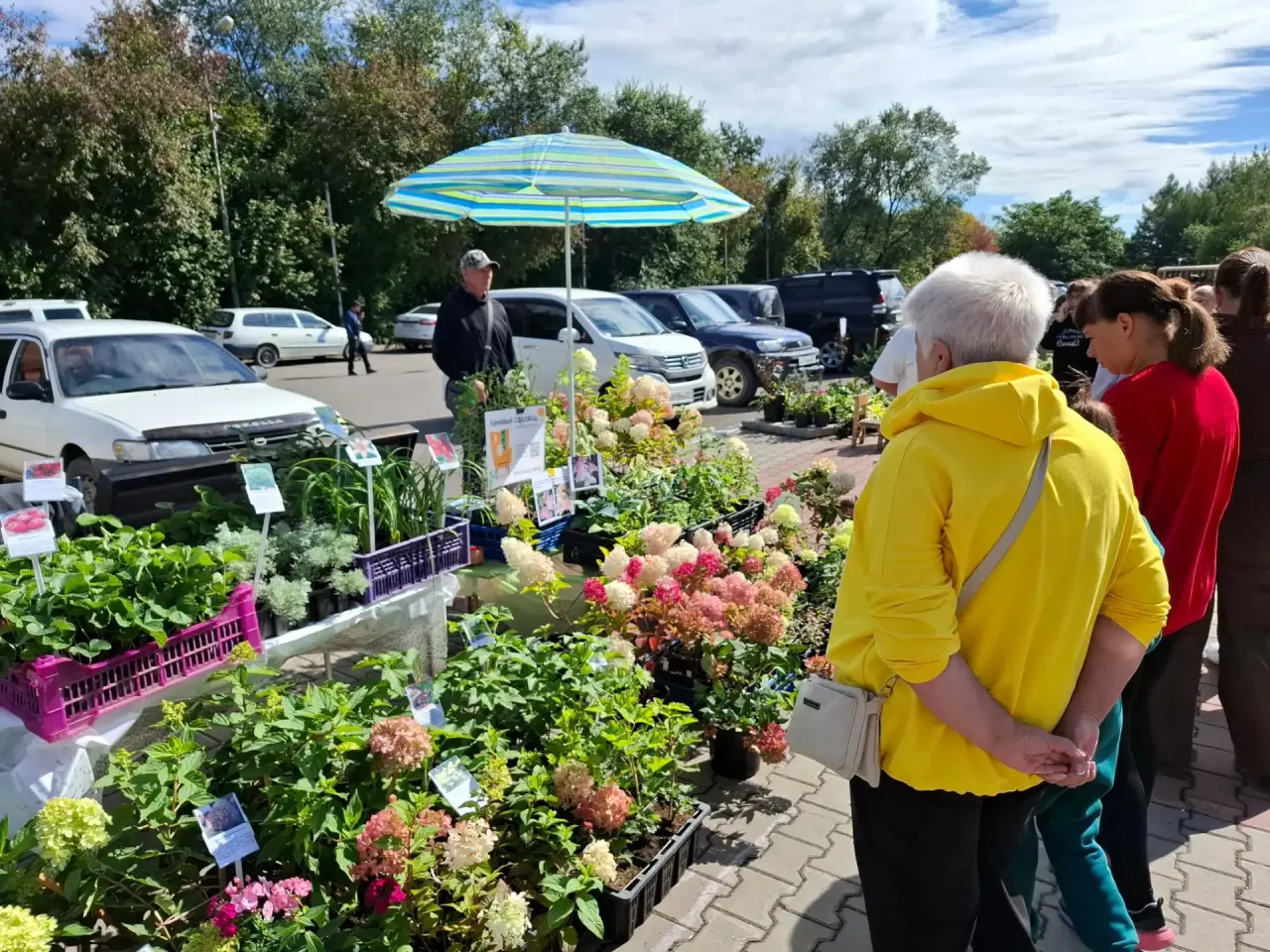 прарарпа